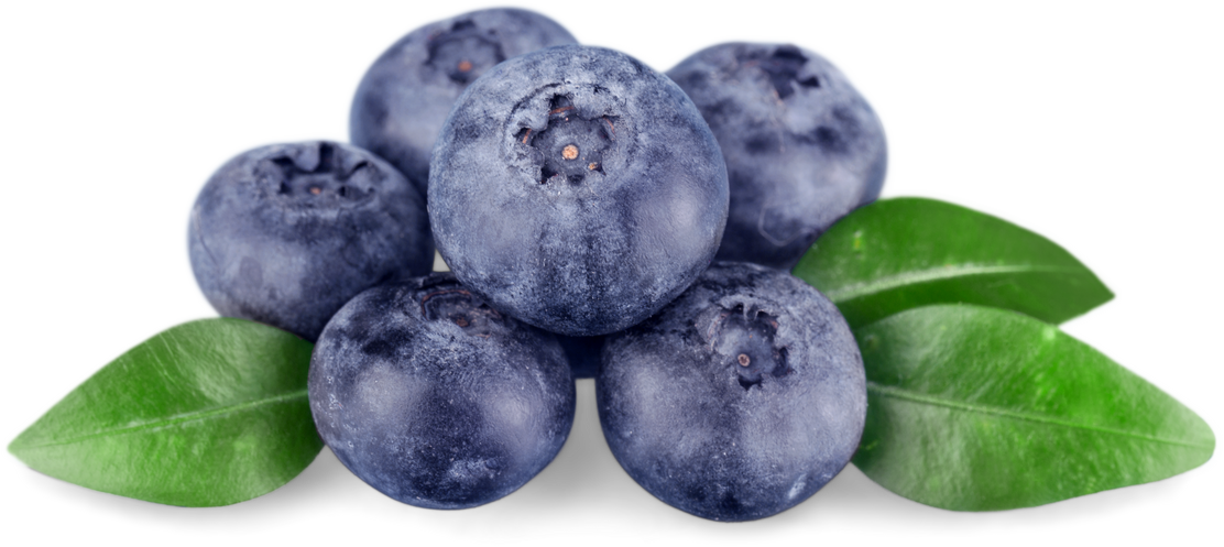 Blueberries and Leaves